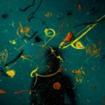 green and yellow fish on water